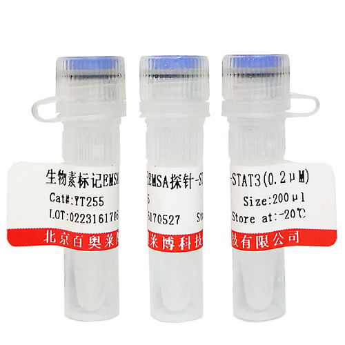 非临床诊断用生物试剂采购指南 染色试剂价格与供应商信息解析