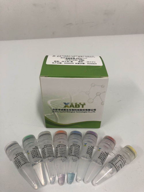 京产新冠肺炎病毒体外诊断试剂获准上市，为非临床诊断用途注入新力量