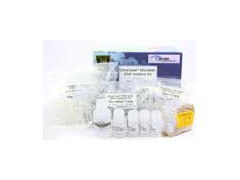 微生物DNA提取试剂盒 非临床诊断用生物试剂的应用与选择指南